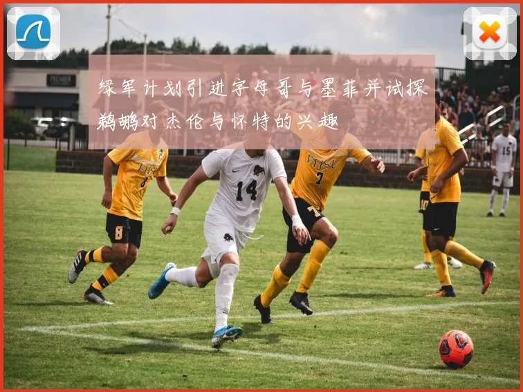 绿军计划引进字母哥与墨菲并试探鹈鹕对杰伦与怀特的兴趣