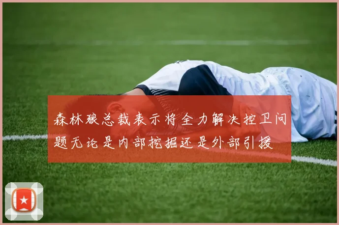 森林狼总裁表示将全力解决控卫问题无论是内部挖掘还是外部引援