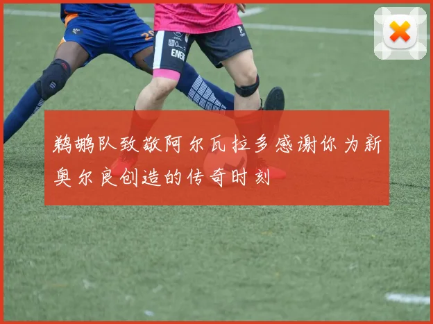 鹈鹕队致敬阿尔瓦拉多感谢你为新奥尔良创造的传奇时刻