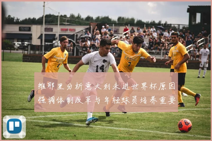 维耶里分析意大利未进世界杯原因强调体制改革与年轻球员培养重要性